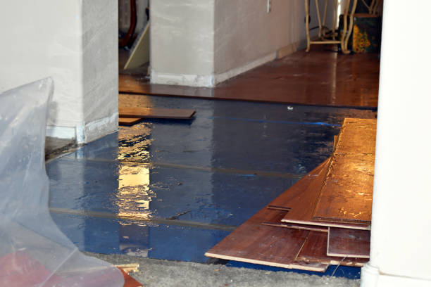 Professional Basement Water Removal technician working in River Edge, NJ